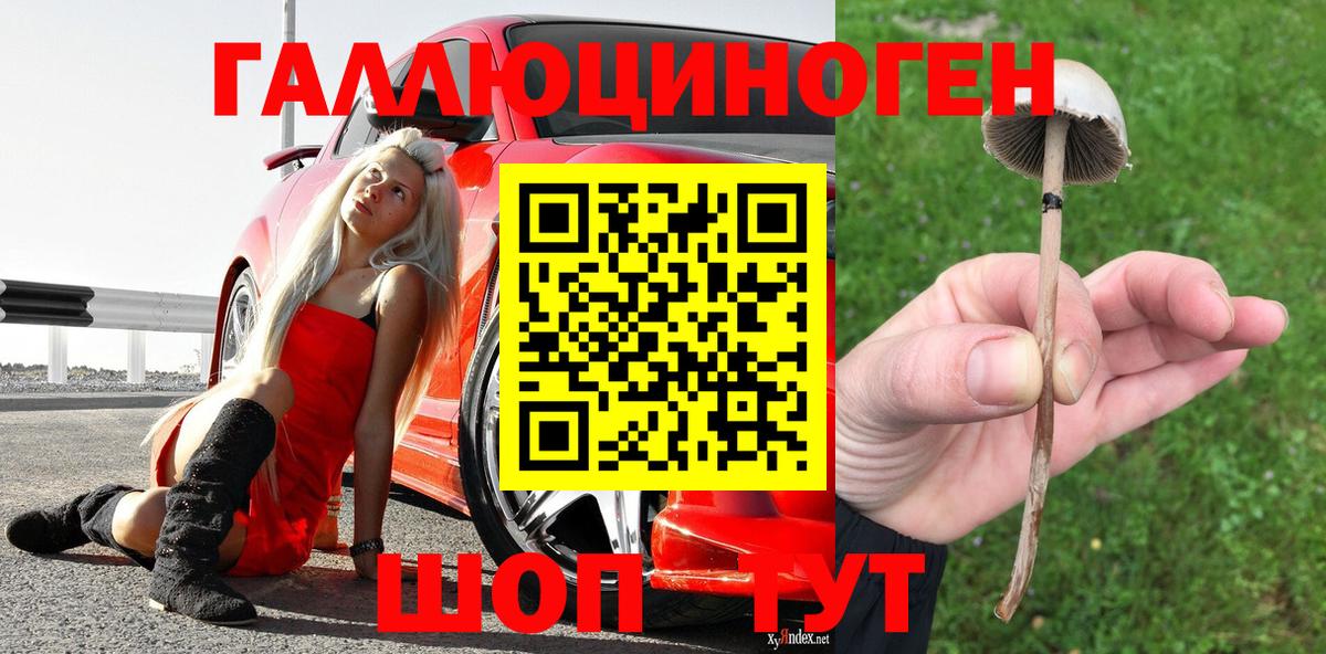 Псилоцибиновые грибы GOLDEN TEACHER Красноперекопск