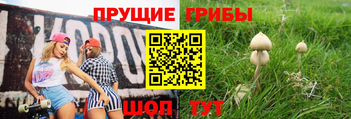 Галлюциногенные грибы GOLDEN TEACHER  Вход с VPN  цена наркотик  Галлюциногенные грибы Psilocybe  Красноперекопск 